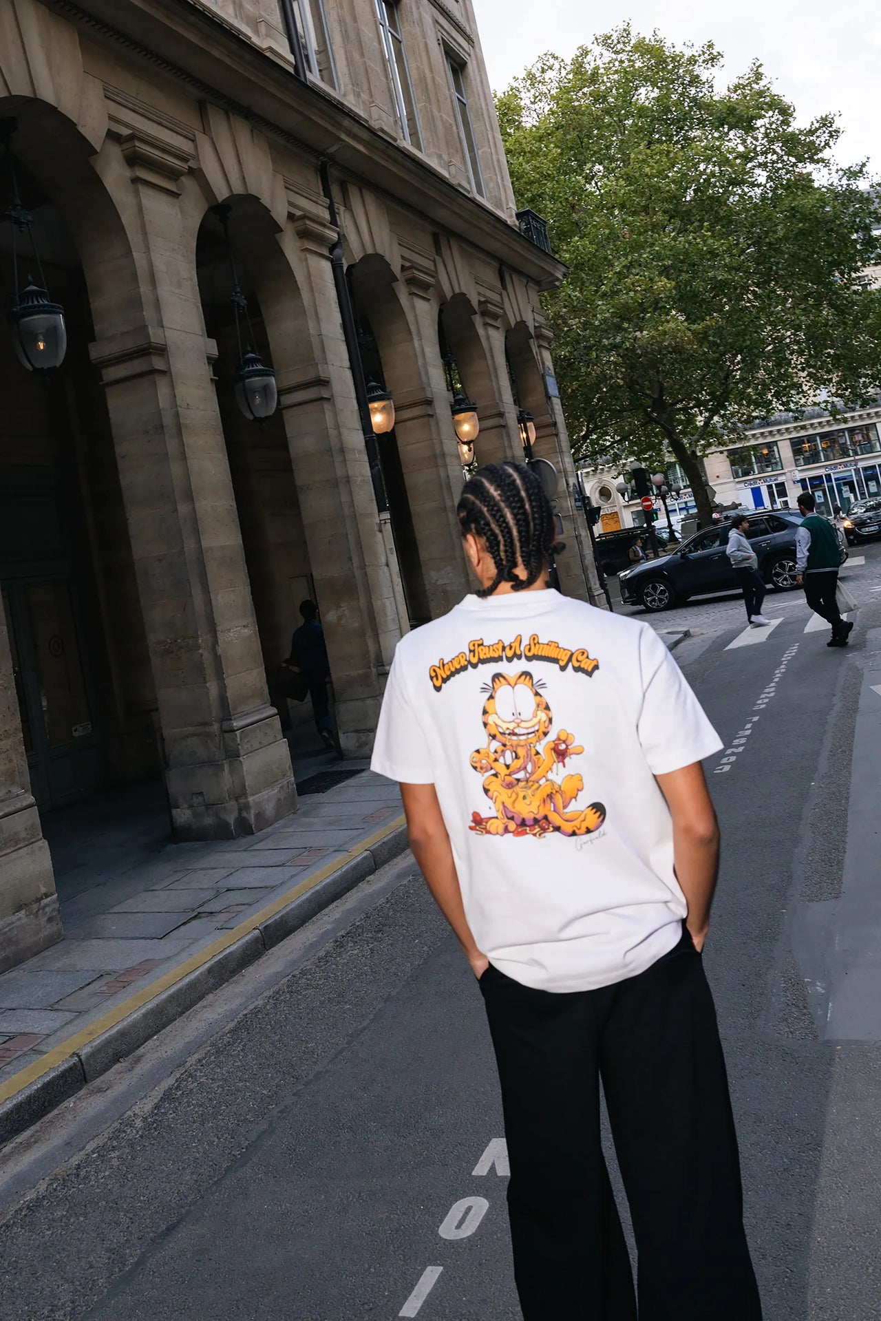 NEVER TRUST A SMILING CAT