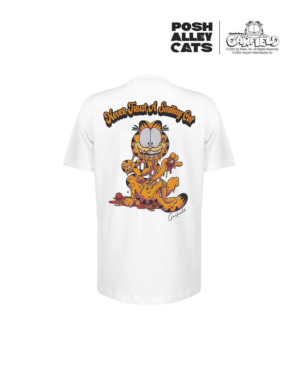 NEVER TRUST A SMILING CAT